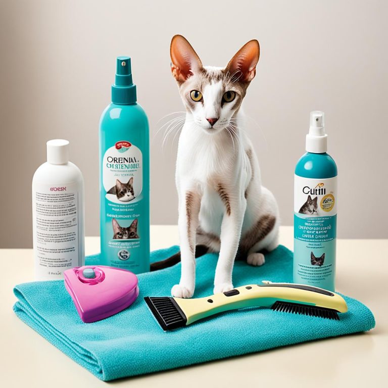 How To Groom An Oriental Shorthair Cat? Easy Steps