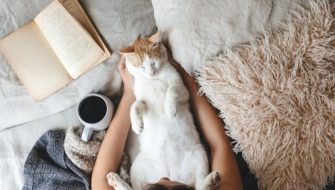 Is Maple Syrup Bad For Cats? - My British Shorthair Cat - Adoption And ...